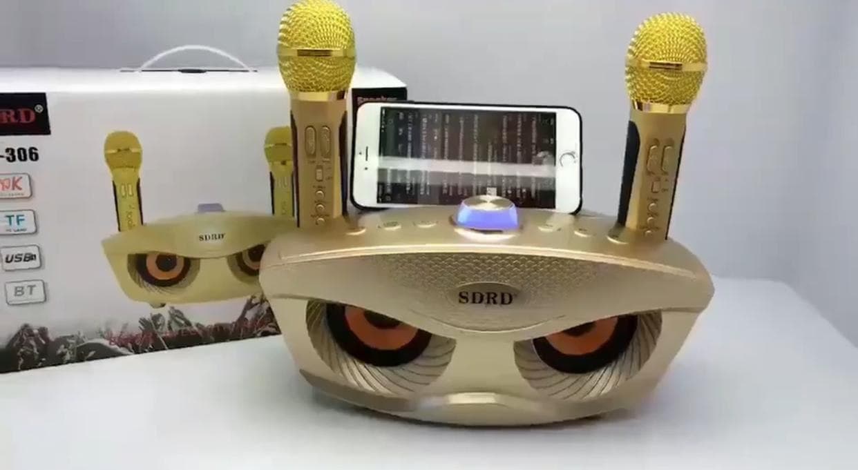 Беспроводная караоке система с двумя микрофонами SDRD SD-306, золотой оптом - Фото №2