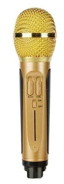 Беспроводная караоке система с двумя микрофонами SDRD SD-306, золотой оптом - Фото №10
