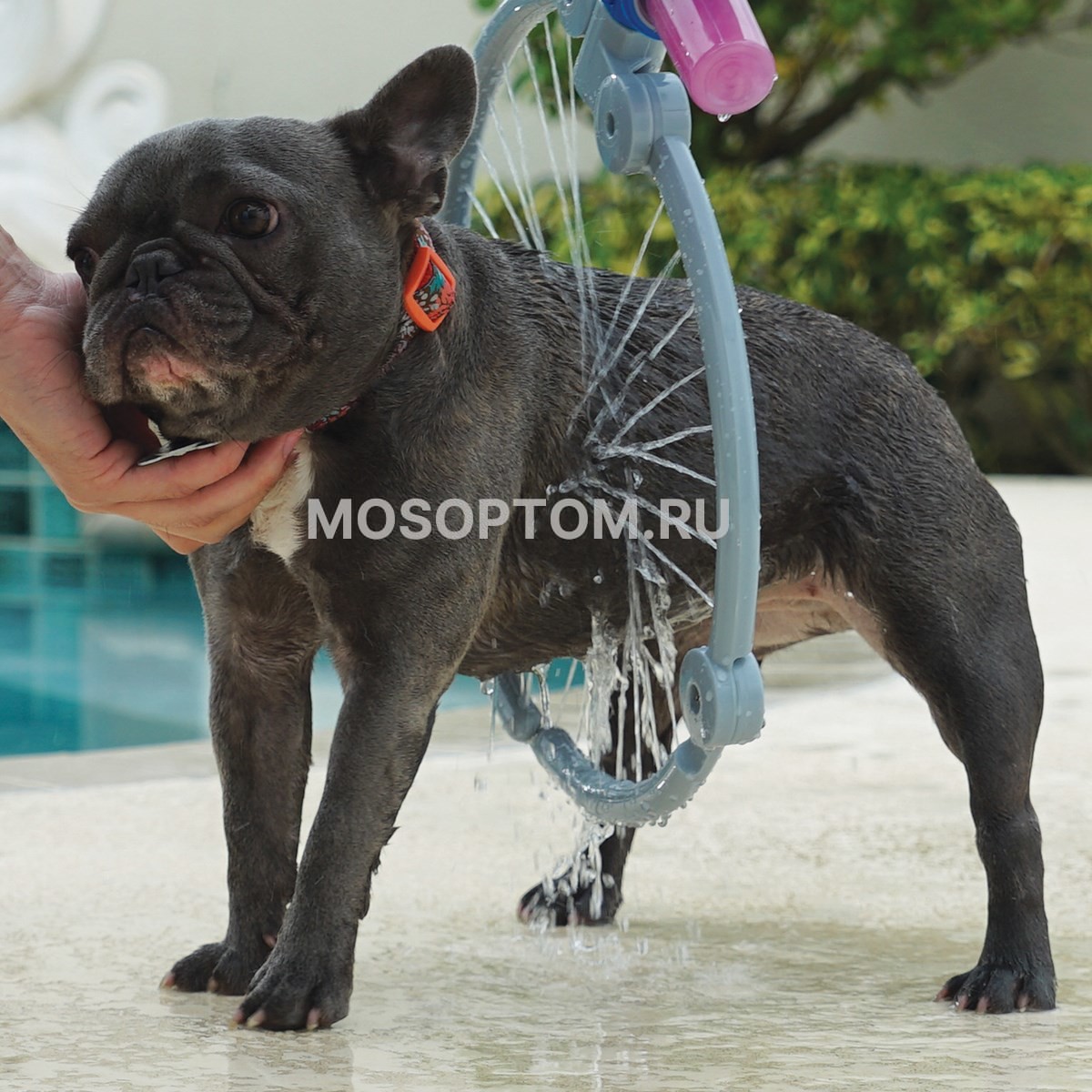 Круговой душ для собак (Woof Washer 360) оптом