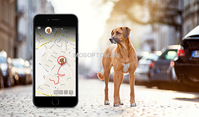Трекер для собак и кошек PET GPS TRACKER оптом