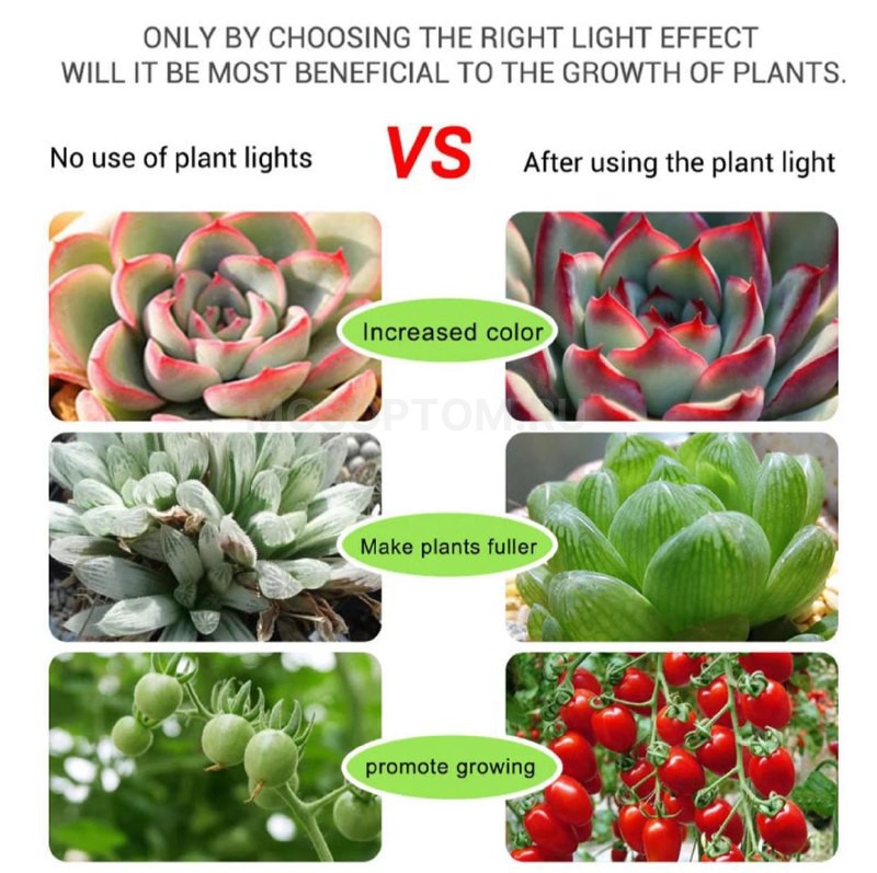 Светодиодная фитолента для выращивания растений 3м оптом