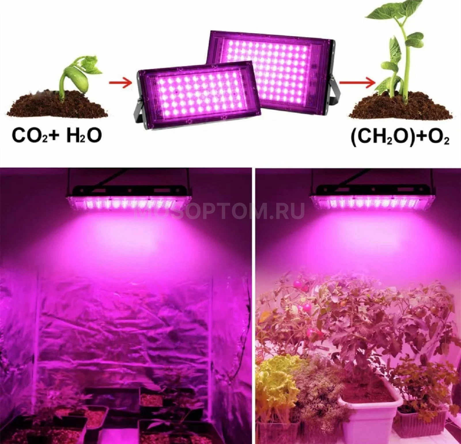 Фитопрожектор светодиодный для выращивания растений Plant Grow Light с полным спектром 100Вт оптом - Фото №6
